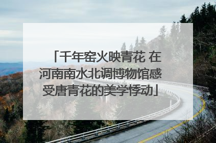 千年窑火映青花 在河南南水北调博物馆感受唐青花的美学悸动