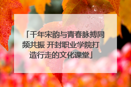 千年宋韵与青春脉搏同频共振 开封职业学院打造行走的文化课堂