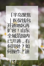 半岛聚焦｜医保钱包开通地区再扩容！山东全域范围内已开通，有何用处？如何操作？速戳→