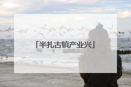 半扎古镇产业兴