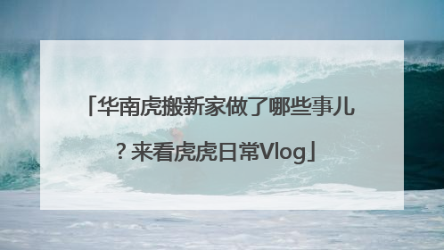 华南虎搬新家做了哪些事儿？来看虎虎日常Vlog