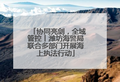 协同亮剑，全域管控丨潍坊海警局联合多部门开展海上执法行动