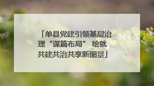 单县党建引领基层治理“谋篇布局” 绘就共建共治共享新图景