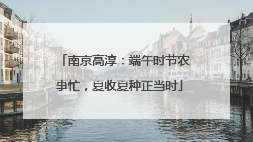 南京高淳：端午时节农事忙，夏收夏种正当时