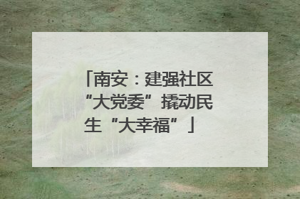 南安：建强社区“大党委”撬动民生“大幸福”
