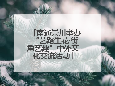南通崇川举办“艺路生花·街角艺趣”中外文化交流活动