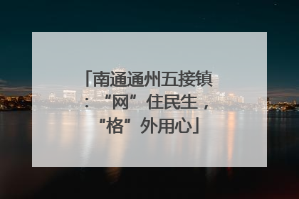 南通通州五接镇：“网”住民生，“格”外用心