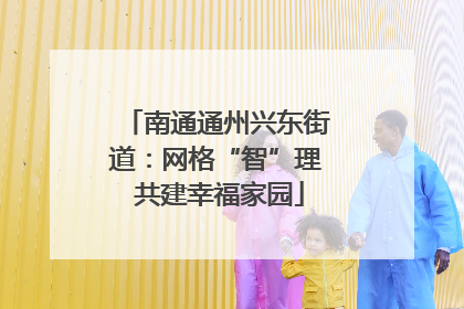 南通通州兴东街道：网格“智”理 共建幸福家园