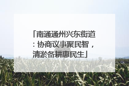 南通通州兴东街道：协商议事聚民智，清淤备耕惠民生