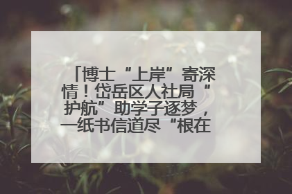博士“上岸”寄深情！岱岳区人社局“护航”助学子逐梦，一纸书信道尽“根在岱岳”的眷恋
