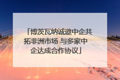 博茨瓦纳诚邀中企共拓非洲市场 与多家中企达成合作协议