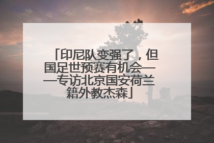 印尼队变强了，但国足世预赛有机会——专访北京国安荷兰籍外教杰森