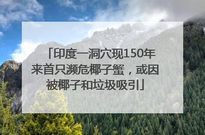印度一洞穴现150年来首只濒危椰子蟹，或因被椰子和垃圾吸引