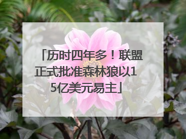历时四年多！联盟正式批准森林狼以15亿美元易主