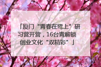 厦门“青春在鹭上”研习营开营，16台青解锁创业文化“双精彩”