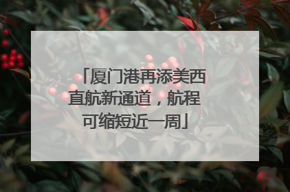 厦门港再添美西直航新通道，航程可缩短近一周