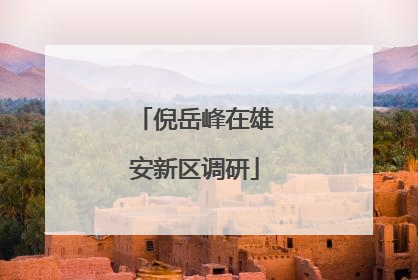 倪岳峰在雄安新区调研