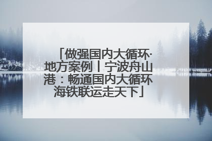做强国内大循环·地方案例丨宁波舟山港：畅通国内大循环海铁联运走天下