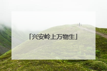 兴安岭上万物生
