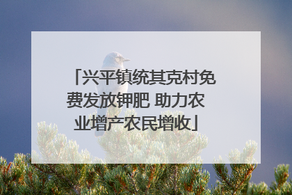 兴平镇统其克村免费发放钾肥 助力农业增产农民增收