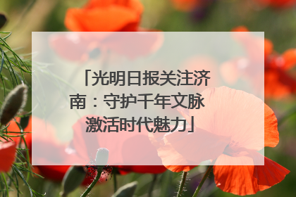 光明日报关注济南：守护千年文脉 激活时代魅力