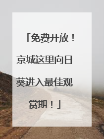 免费开放！京城这里向日葵进入最佳观赏期！