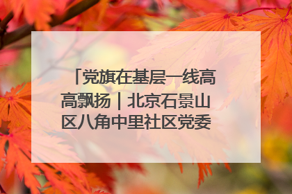 党旗在基层一线高高飘扬｜北京石景山区八角中里社区党委：用脚步丈量民生