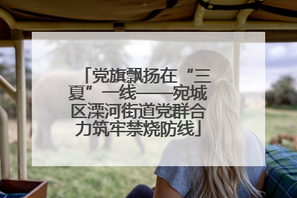 党旗飘扬在“三夏”一线——宛城区溧河街道党群合力筑牢禁烧防线