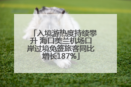 入境游热度持续攀升 海口美兰机场口岸过境免签旅客同比增长187%