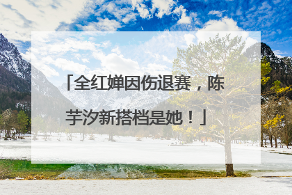 全红婵因伤退赛，陈芋汐新搭档是她！