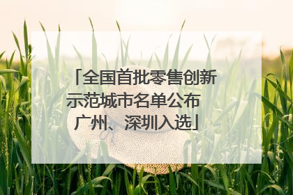 全国首批零售创新示范城市名单公布 广州、深圳入选