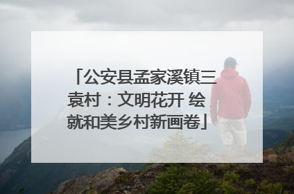 公安县孟家溪镇三袁村：文明花开 绘就和美乡村新画卷
