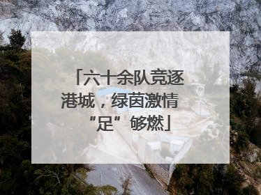 六十余队竞逐港城，绿茵激情“足”够燃