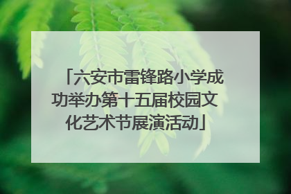 六安市雷锋路小学成功举办第十五届校园文化艺术节展演活动