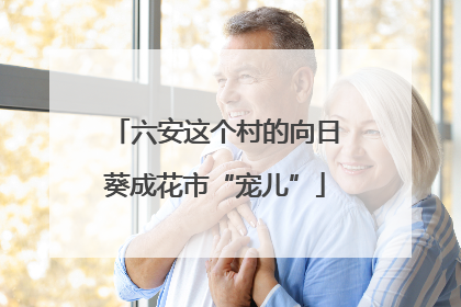六安这个村的向日葵成花市“宠儿”
