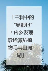 兰科中的“显眼包”！内乡发现珍稀濒危植物毛萼山珊瑚