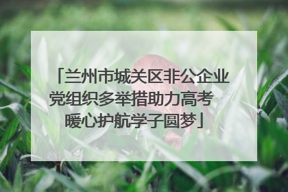 兰州市城关区非公企业党组织多举措助力高考 暖心护航学子圆梦