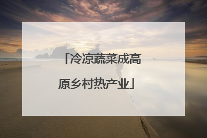 冷凉蔬菜成高原乡村热产业
