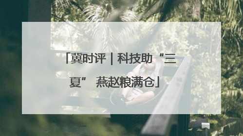 冀时评｜科技助“三夏” 燕赵粮满仓