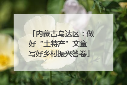 内蒙古乌达区：做好“土特产”文章 写好乡村振兴答卷