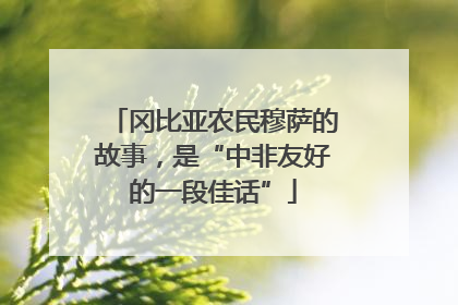 冈比亚农民穆萨的故事，是“中非友好的一段佳话”