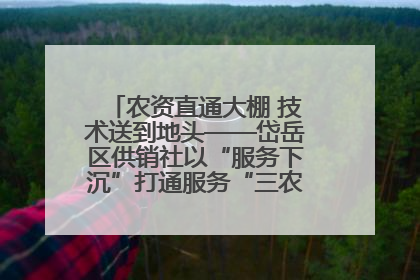 农资直通大棚 技术送到地头——岱岳区供销社以“服务下沉”打通服务“三农”最后一公里