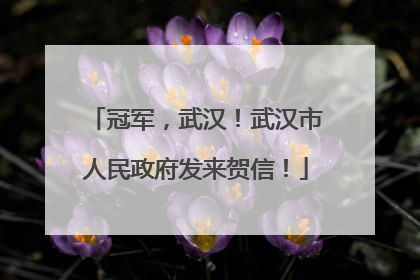冠军，武汉！武汉市人民政府发来贺信！