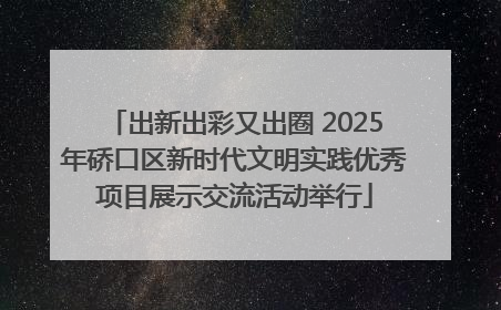 出新出彩又出圈 2025年硚口区新时代文明实践优秀项目展示交流活动举行