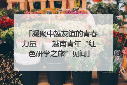 凝聚中越友谊的青春力量——越南青年“红色研学之旅”见闻