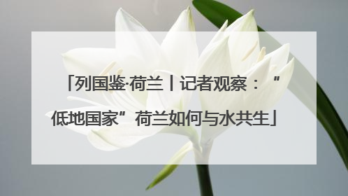 列国鉴·荷兰丨记者观察：“低地国家”荷兰如何与水共生