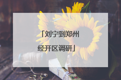 刘宁到郑州经开区调研