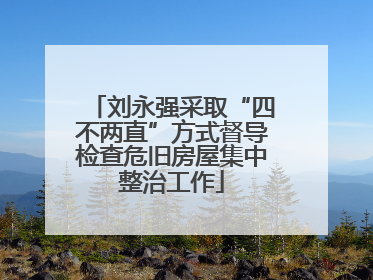 刘永强采取“四不两直”方式督导检查危旧房屋集中整治工作