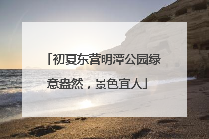 初夏东营明潭公园绿意盎然，景色宜人