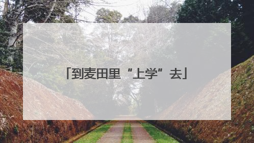 到麦田里“上学”去